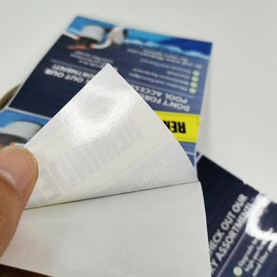 Autoadesivi CMYK di Matte Waterproof Custom Die Cut che stampano vinile adesivo smontabile